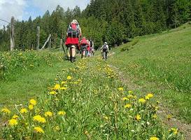 Wander-Vitalhotel Steirerhof 