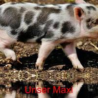 Ferienwohnungen Gwehenberger 
