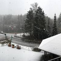 Pension Haus am Schmelzteich 