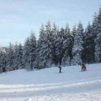 Holiday Home Brune Bodefeld 