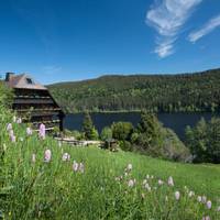 Boutique Hotel Alemannenhof 