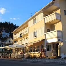 Hotel Restaurant Tannenhof 
