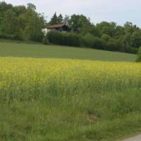 Hotel Garni Goldene Traube 