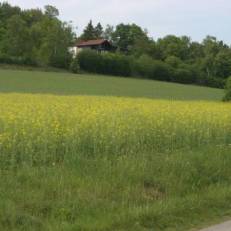 Hotel Garni Goldene Traube 