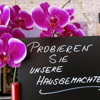 Altstadt Pension Orchidee 