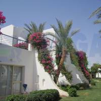 Luna Sharm Resort (ex. Mercure Luna)