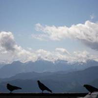 Pension Heilbad Burgwies 