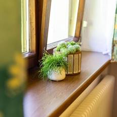 Apartment Dankl Muhlbach 