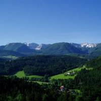 Gasthof Pension Sonnfeld 