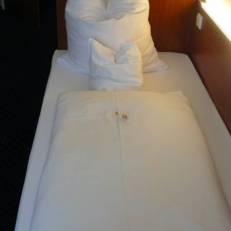 Stadt-Gut-Hotel Wahlster 