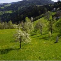 Haus Annemarie Schiestl 