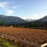 Reitbauernhof Schartner 