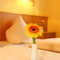 Hotelpension zum Gockl 