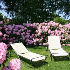 Pension Villa Edelweib 