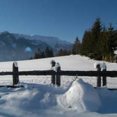 Hotel Steffner-Wallner 