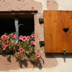 Landpension Haus Ruth 