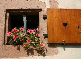 Landpension Haus Ruth 