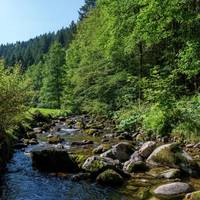 Urlaub im Schwarzwald 