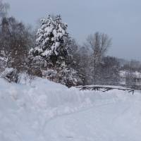 Pension - Der Berghof 