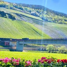 Hotel Krone Riesling 