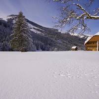 Appartements Zettler 