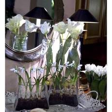 Hotel garni Bellevue