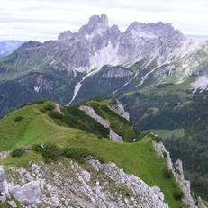 Aparthaus Birkenheim 