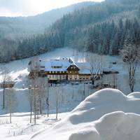 Waldhotel Fehrenbach 