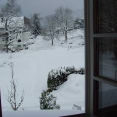 Birkenhaus am Quell 