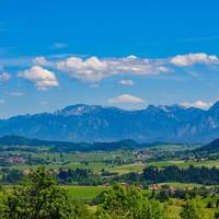 Hotel Gasthof Rose 