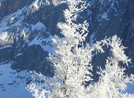 Gasthof Hunerkogel 