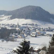 Pension Tannenbaum 