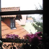 Apartment Belec 39 