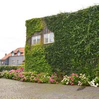 Parkhotel Fischer 