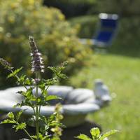 BioHotel Sommerau 