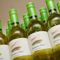 Weingut Sommerhof 