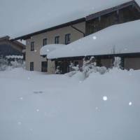 Appartment Andrea 