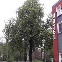 Hostel Wittenberg 