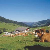 Hotel Simmerlwirt 