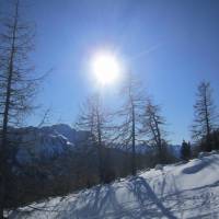 Alpenapart Walch 