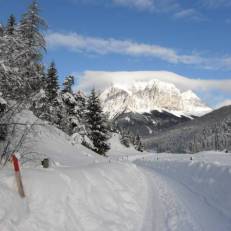 Pension Alpspitz 