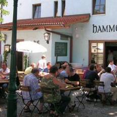 Hotel Hammerwirt 