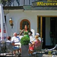 Hotel Mesnerwirt 
