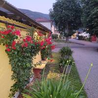 Pension & Ferienwohnung Dullnig