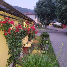Pension & Ferienwohnung Dullnig