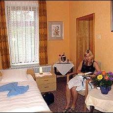 Hotel Siegfried 