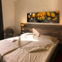 Hotel Alexander 