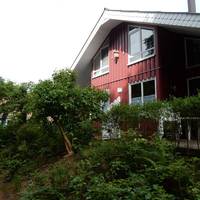 Eichhornchen I 