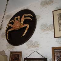 Hotel Dorfkrug 