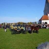 Hotel Waldmann 